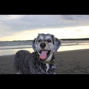 Meet your Posher, Carly